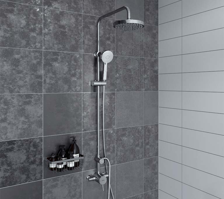 Bristan Shower and Rail